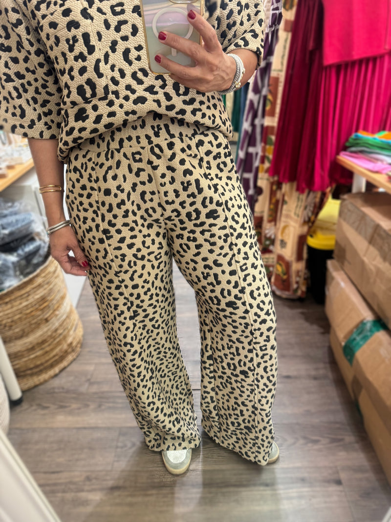 Leopard Print Textured Top & Pant Set