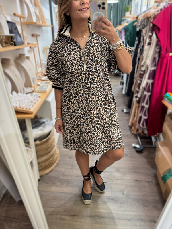 Leopard Print Neck & SleevesDetail Dress
