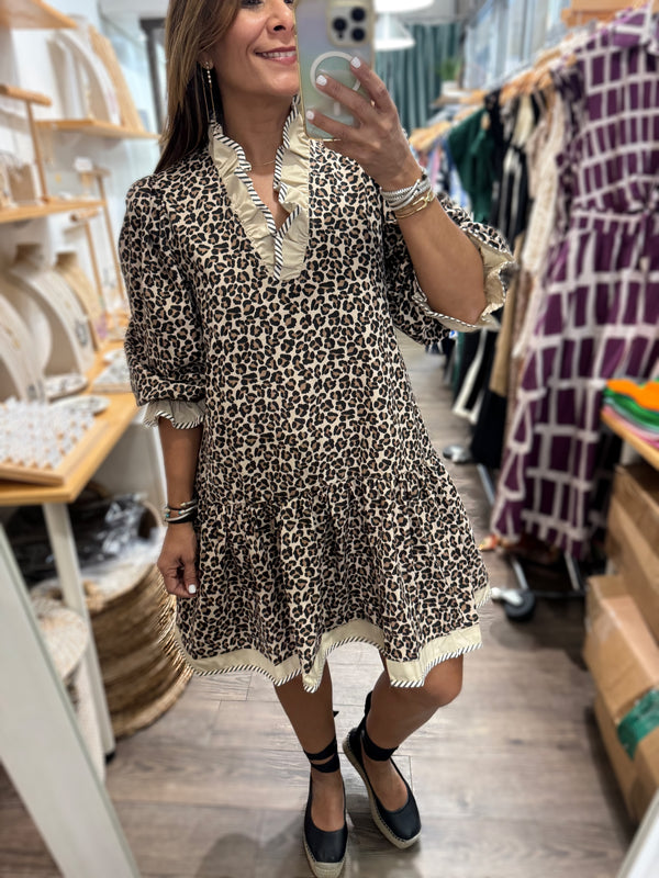 Animal Print Drop Waist Dress