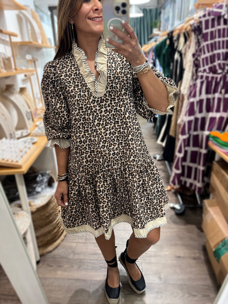 Animal Print Drop Waist Dress