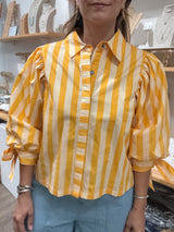 Yellow & Gold Stripes