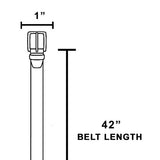Ivory Silver Buckle Thin Belt - Peplum Clothing