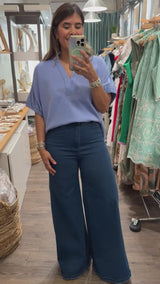 Blue V-Neck Dolman Sleeves Top